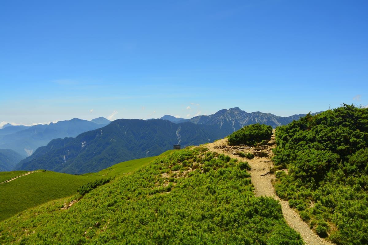 Kahle alpine Grate und Grasflächen am Hehuanshan unter klarem Himmel