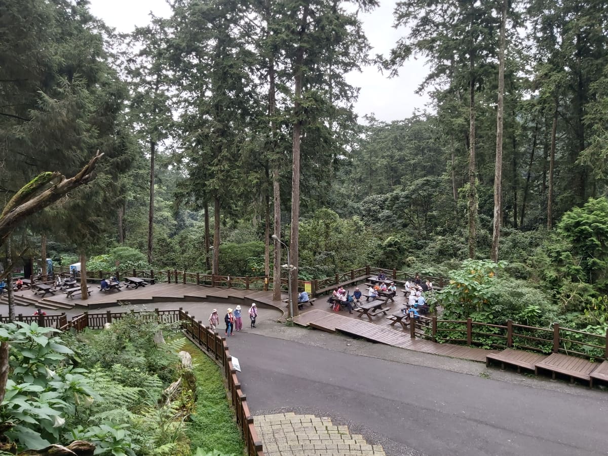 Ein Weg durch dichten Moso-Bambus im Wald von Xitou