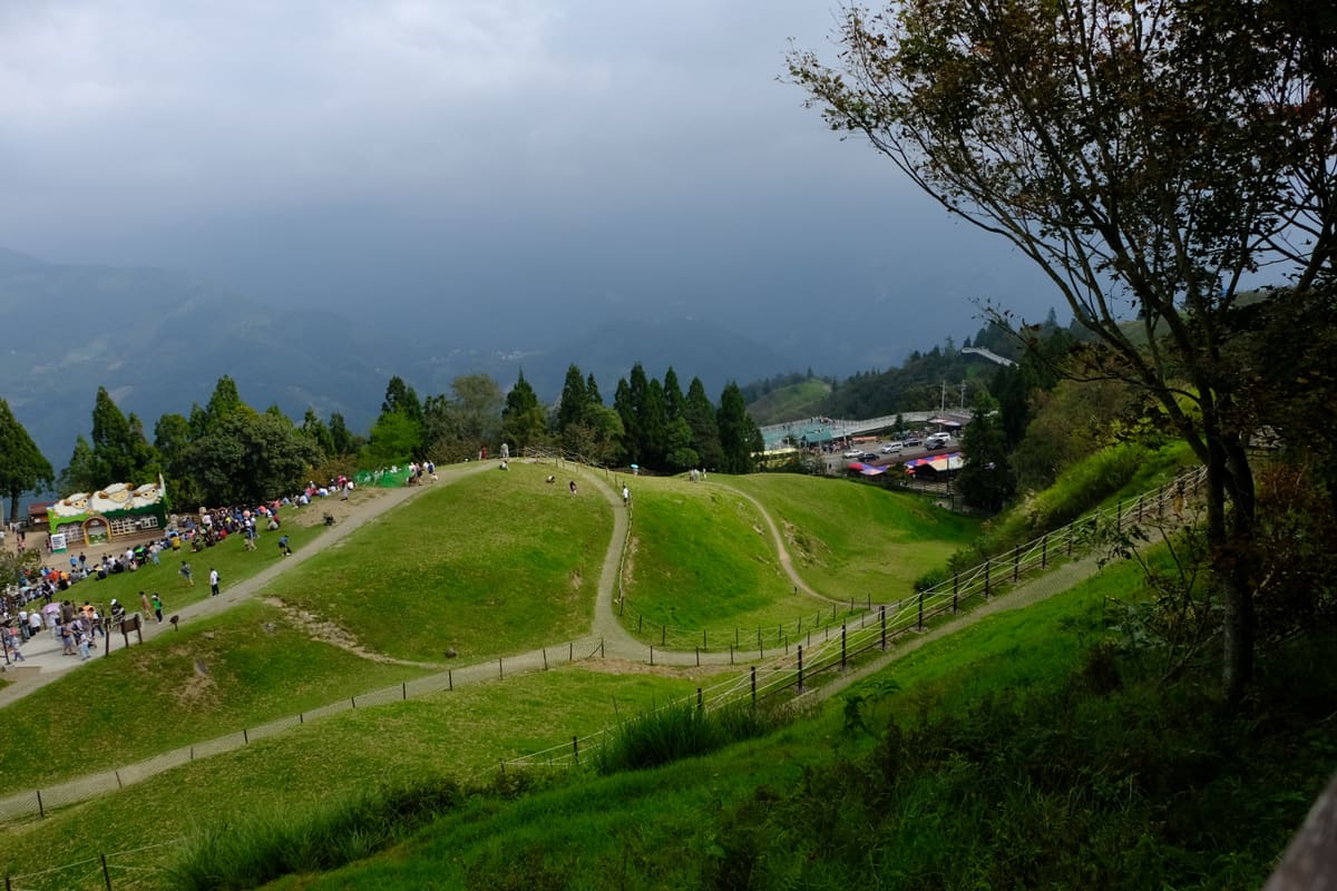 Schafe auf den grünen Hangwiesen der Cingjing Farm